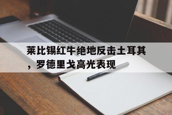 莱比锡红牛绝地反击土耳其，罗德里戈高光表现
