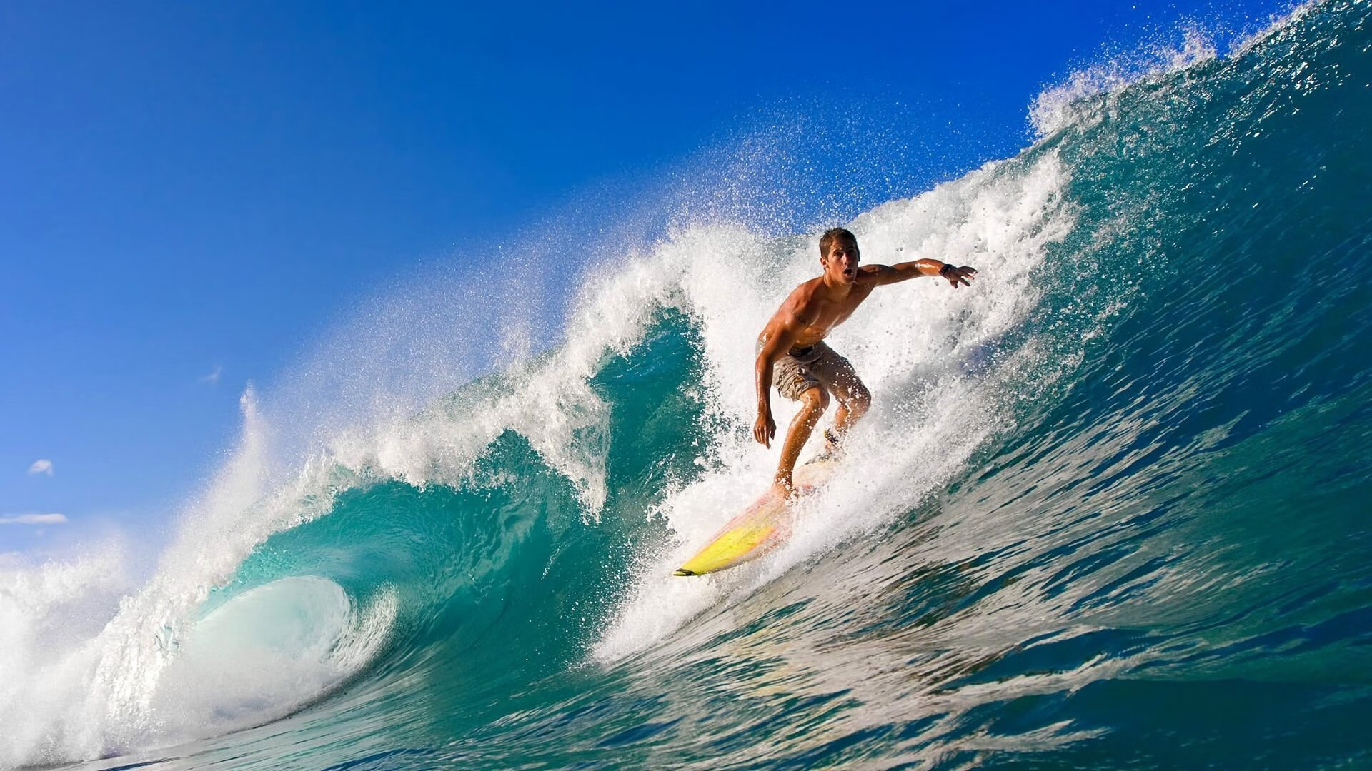 沪上雄鹰展翅擒蜂，希腊神祇登顶之战—双重舞台的唯一性对决